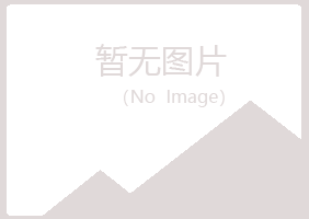 天津夏岚咨询有限公司